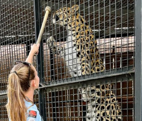 Marine soigneur animalier avec panthère Marine soigneur animalier avec panthère